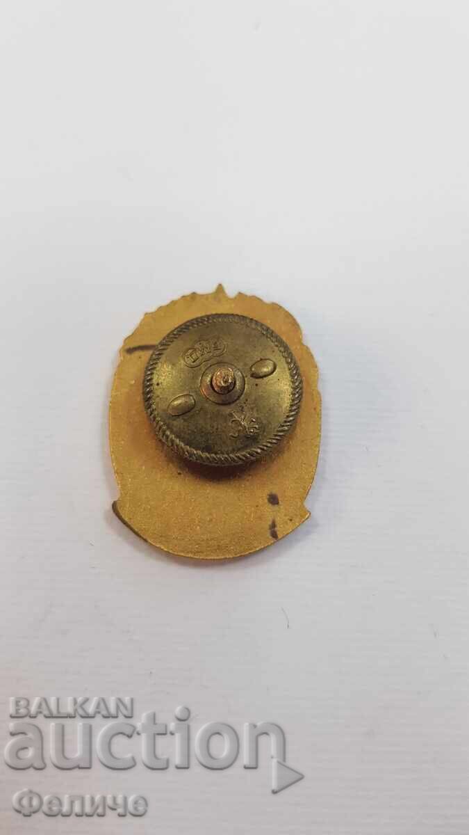 Rare badge "EXCELLENT FOR COMMUNITY CENTER ACTIVITY" with price 35.00 BGN | € 17.90