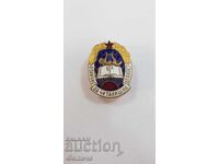 Semn rar, insignă "EXCELENT PENTRU ACTIVITATEA DE CĂMIN CULTURAL"