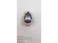 Semn rar, insignă "EXCELENT PENTRU ACTIVITATEA DE CĂMIN CULTURAL"