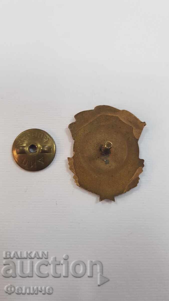 Δημοπρασία Σπάνιο σήμα, κονκάρδα "ΔΙΜΗΤΡΟΦΓΡΑΝΤ 1951"