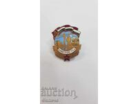 Semn rar, insignă "DIMITROVGRAD 1951"