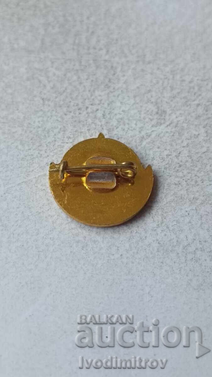 Значка Спортна стрелба с цена 3.85 лв. | € 1.97 Значка Спортна стрелба с цена 3.85 лв. | € 1.97