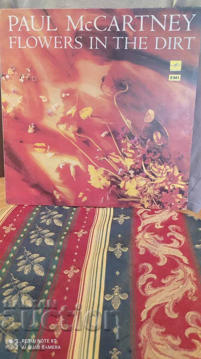Disc de vinil Paul McCartney Disc de vinil Paul McCartney