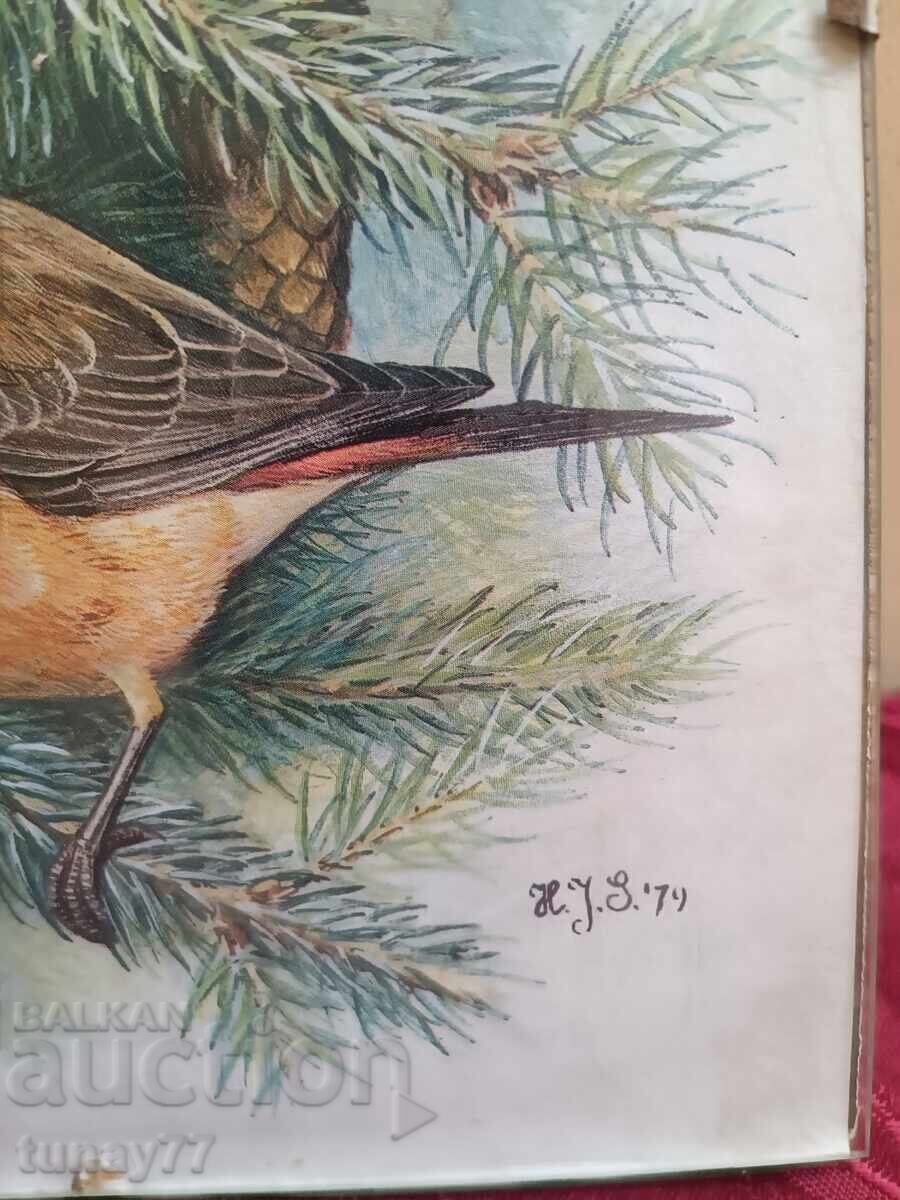 PĂSĂRI cu preț € 8.00 | 15.65 BGN PĂSĂRI cu preț € 8.00 | 15.65 BGN