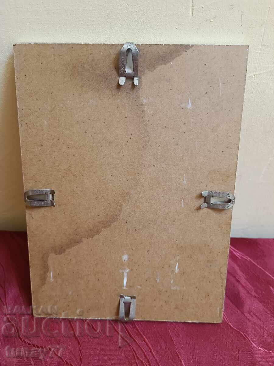 Delivery of PARROTS Delivery of PARROTS