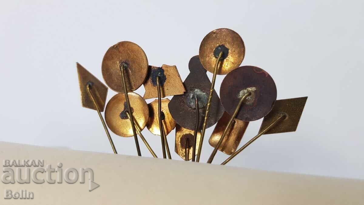 Collection Lot of 11 pcs. royal badges, signs, emblem, badge with enamel with price 290.00 BGN | € 148.27
