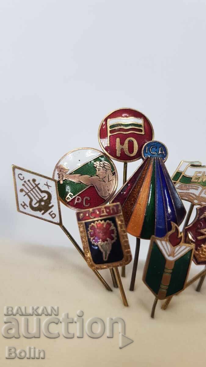 Collection Lot of 11 pcs. royal badges, signs, emblem, badge with enamel - 5