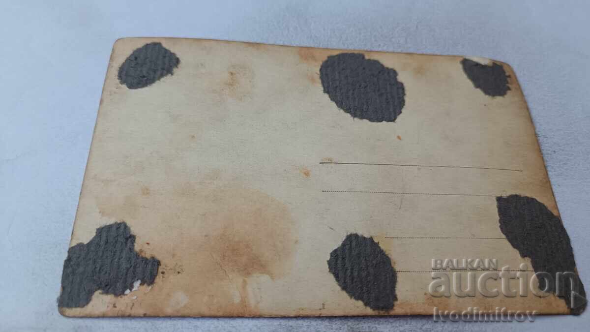 Φωτογραφία Άνδρες γυναίκες και παιδιά με ένα ρετρό γραμμόφωνο σε ένα πικνίκ με τιμή 3.45 BGN | € 1.76