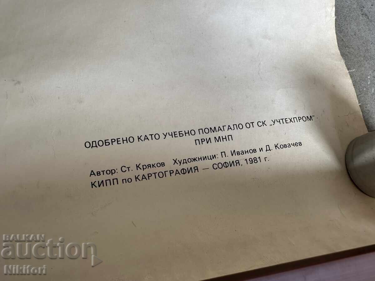 Παράδοση Σοσιαλιστικό Εκπαιδευτικό Πόστερ Πίνακας Ιατρικής Ανατομίας Παράδοση Σοσιαλιστικό Εκπαιδευτικό Πόστερ Πίνακας Ιατρικής Ανατομίας