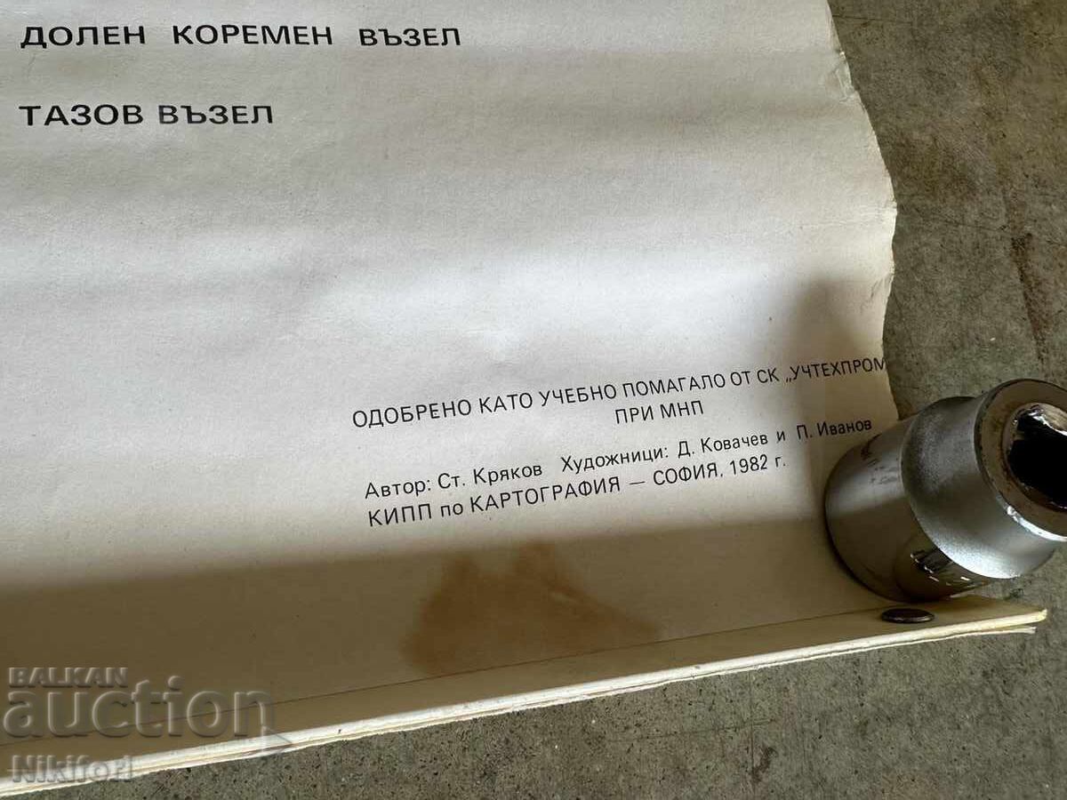 Σοσιαλιστικό Εκπαιδευτικό Πόστερ Πίνακας Ιατρικής Ανατομίας - 6