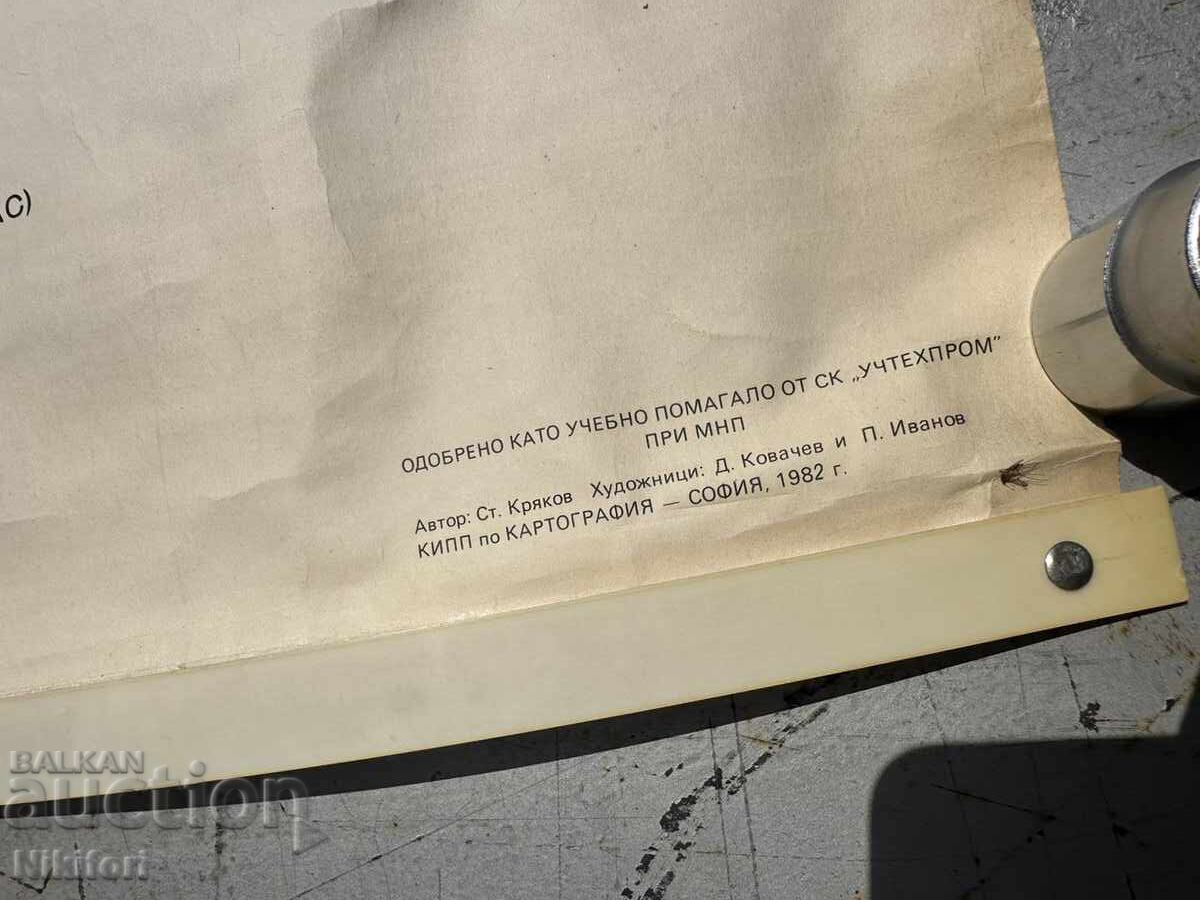 Σοσιαλιστικό Εκπαιδευτικό Πόστερ Πίνακας Ιατρικής Ανατομίας - 6