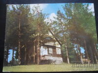 ΘΕΡΕΤΡΟ ΥΟΥΝΤΟΛΑ - θέα, Παλιά καρτ ποστάλ