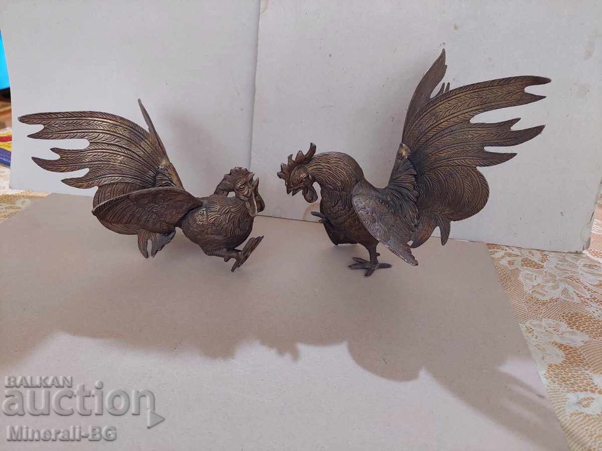 Cocoși de luptă Cocoși de luptă