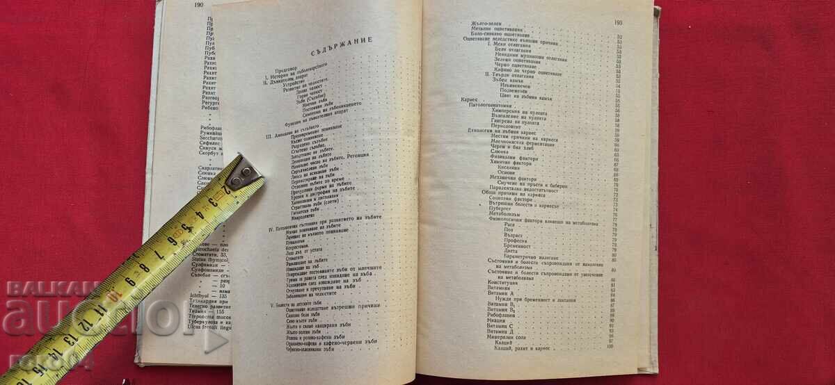 ΔΟΝΤΙΑ ΤΩΝ ΠΑΙΔΙΩΝ - ΤΑΜΠΑΚΟΦ / ΖΑΝΕΣΕΦ / ΝΤΑΒΙΝΤΟΦ - 6 ΔΟΝΤΙΑ ΤΩΝ ΠΑΙΔΙΩΝ - ΤΑΜΠΑΚΟΦ / ΖΑΝΕΣΕΦ / ΝΤΑΒΙΝΤΟΦ - 6