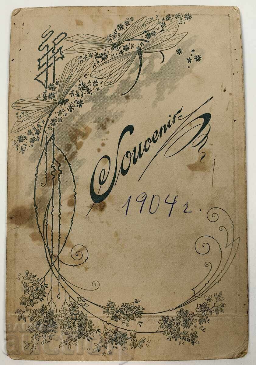 Livrarea 1904 FEMEIE FRUMOASĂ PURTÂND ULCIOR FOTOGRAFIE CARTON