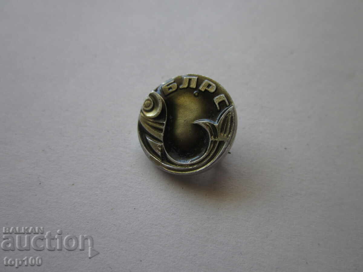 Licitație INSIGNĂ BLRS BZȚ !!!