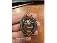 INSIGNĂ PENTRU ORDIN MEDALIE PILOT PILOT COMUNISM SEMN ZBOR