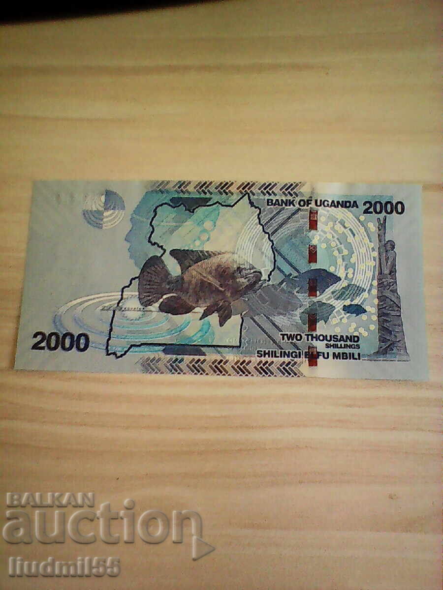 Уганда 2000 шилинга 2017 г. UNC с цена 5.00 лв. | € 2.56 Уганда 2000 шилинга 2017 г. UNC с цена 5.00 лв. | € 2.56