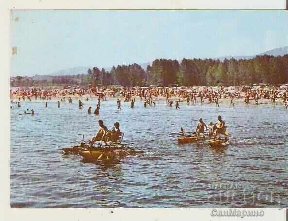 Bulgaria Card Michurin Camping "Nestinarka" 2*