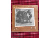 SBH Information Bulletin 1981 I 6