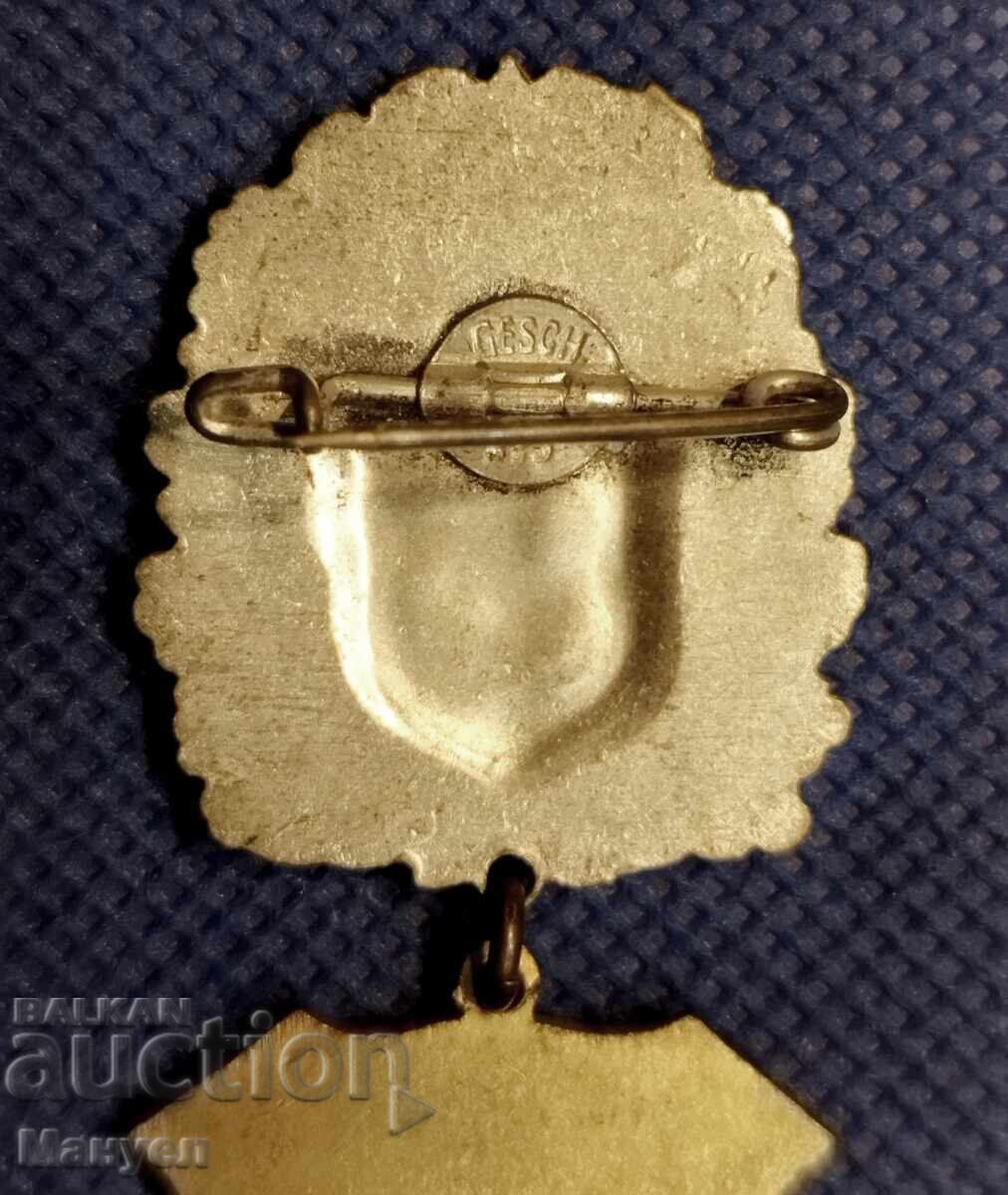 Livrarea Semn de piept vechi militar - Prusia Livrarea Semn de piept vechi militar - Prusia