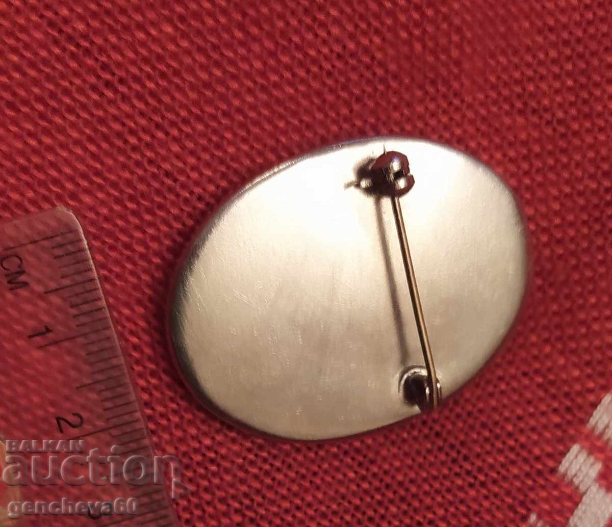 Licitație Broșă ovală din porțelan ,,Viorele"