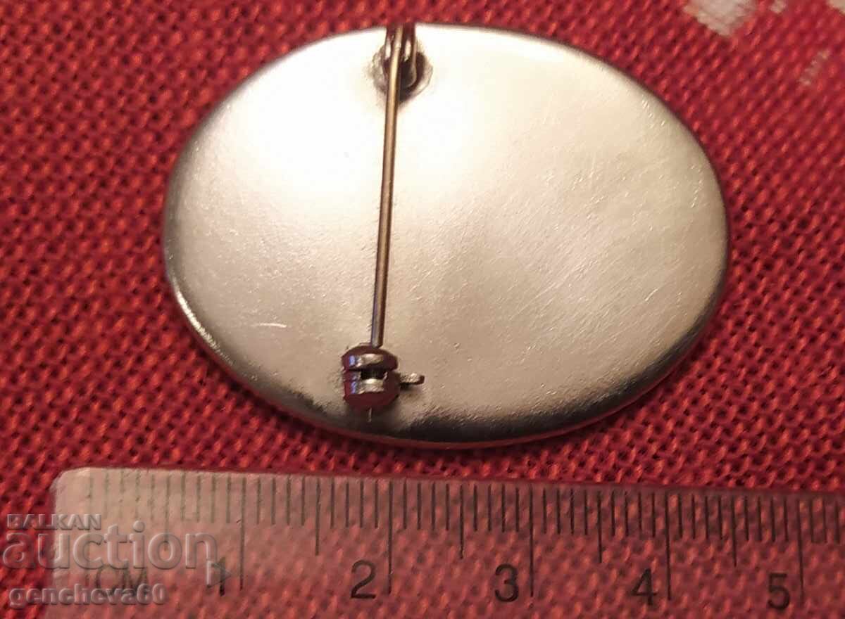 Livrarea Broșă ovală din porțelan ,,Viorele"