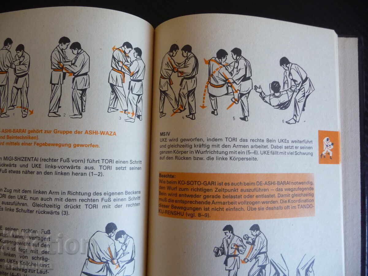 Delivery of Judo Judo many pictures with different positions martial art