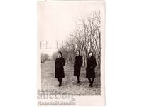 OLD PHOTO OF THREE HIGH SCHOOL GIRLS ON A TRIP E142