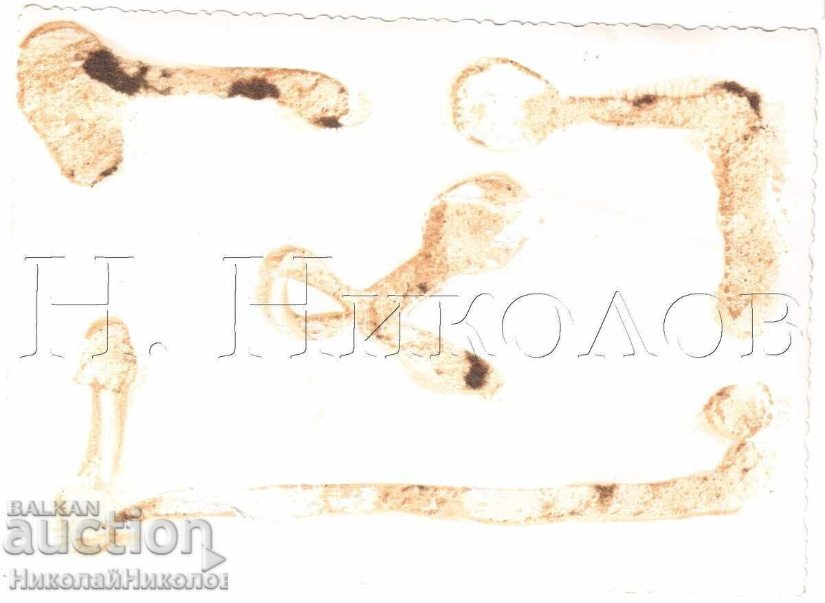 ГОЛЯМА СТАРА СНИМКА СМЕСЕН ХОР Е157 с цена 8.00 лв. | € 4.09