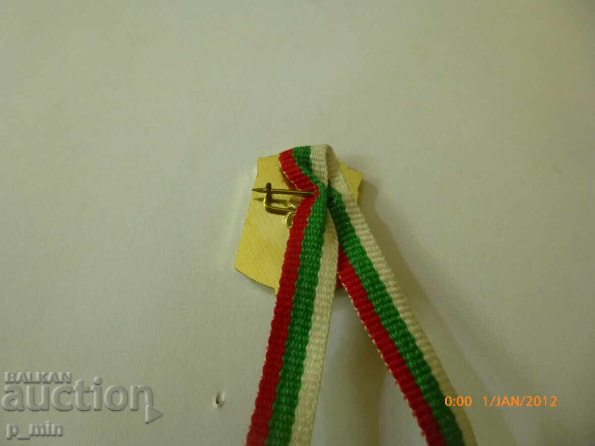 Licitație Semn de piept - CHEPELARE Licitație Semn de piept - CHEPELARE