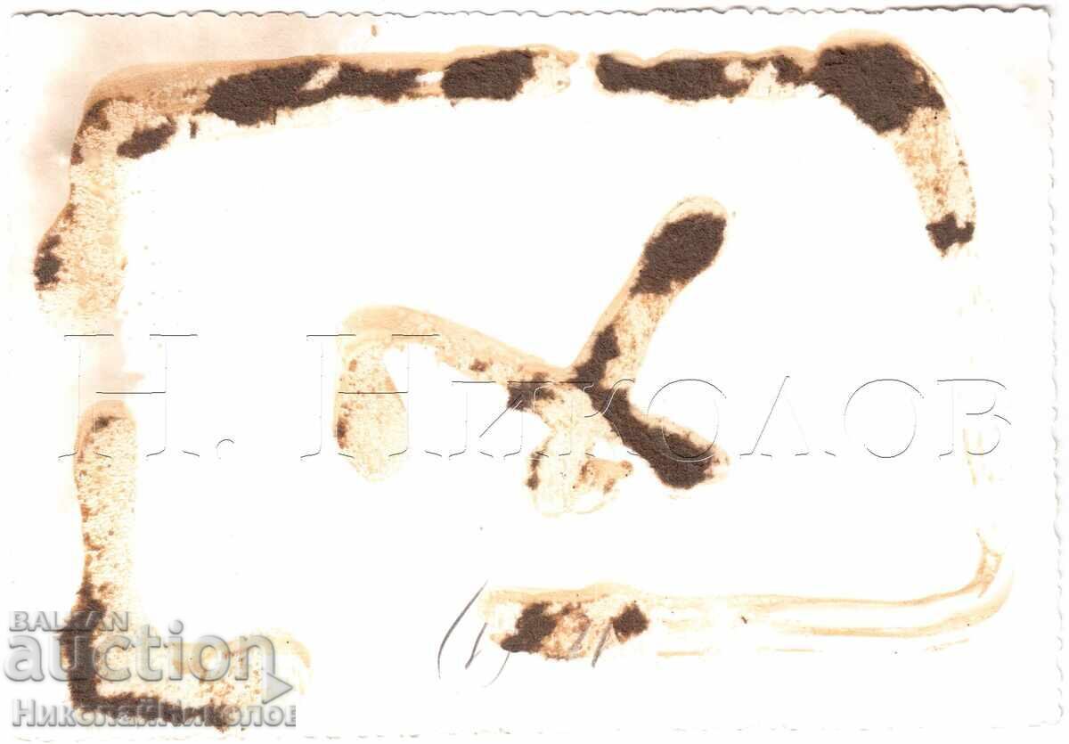 MARE FOTOGRAFIE VECHE COR FEMININ E158 cu preț 8.00 BGN | € 4.09