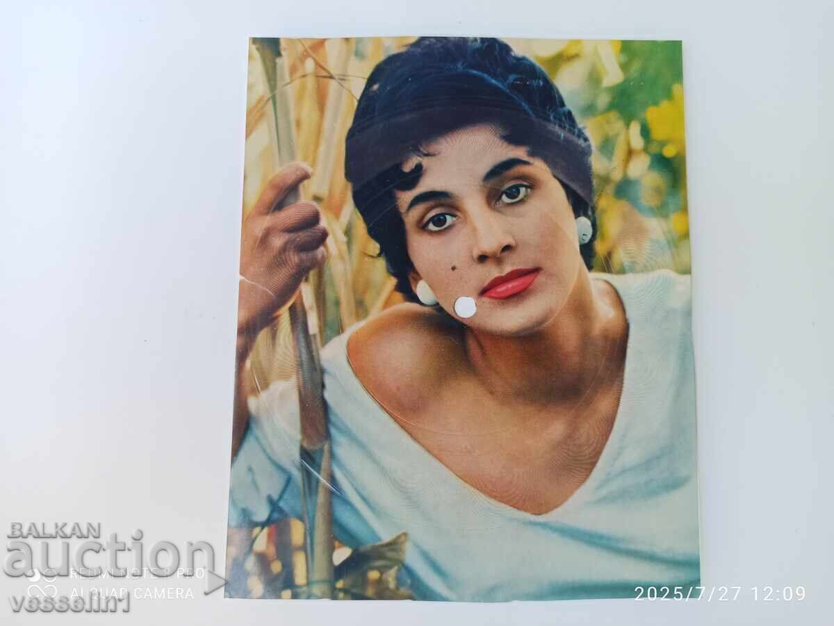 Placă de gramofon veche, carte poștală de Leonhard Gender, vinil