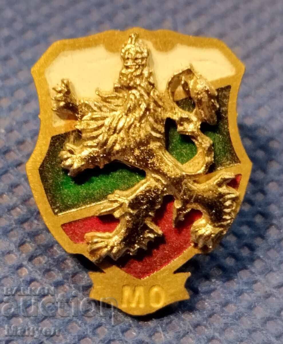 Rare Army Badge Rare Army Badge