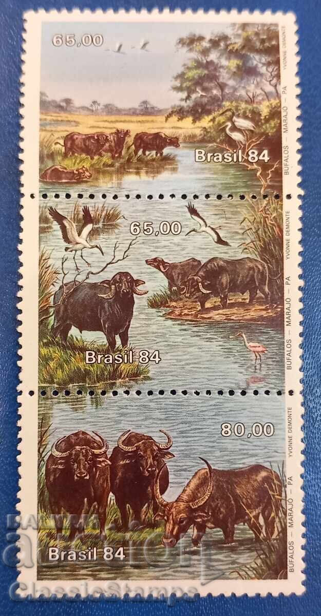 Clean Series Brazil 1984 Clean Series Brazil 1984