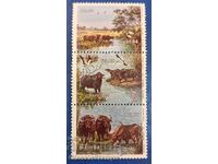 Clean Series Brazil 1984