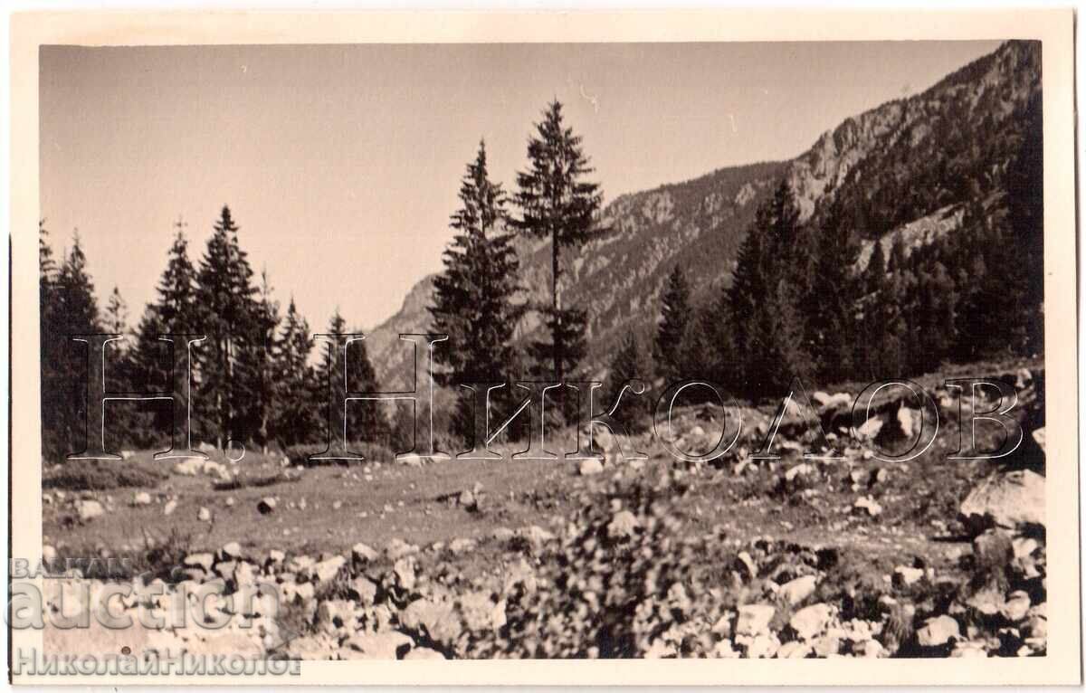 1939 ΠΑΛΙΑ ΦΩΤΟΓΡΑΦΙΑ ΡΙΛΑ ΟΡΕΙΝΟ ΤΟΠΙΟ ΠΡΟΣΩΠΙΚΗ ΣΥΛΛΟΓΗ Ε174 1939 ΠΑΛΙΑ ΦΩΤΟΓΡΑΦΙΑ ΡΙΛΑ ΟΡΕΙΝΟ ΤΟΠΙΟ ΠΡΟΣΩΠΙΚΗ ΣΥΛΛΟΓΗ Ε174