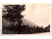 1939 FOTOGRAFIE VECHE VEDERE MUNȚII RILA COLECȚIE PERSONALĂ E177