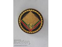 Значка - ДФС Химик Видин