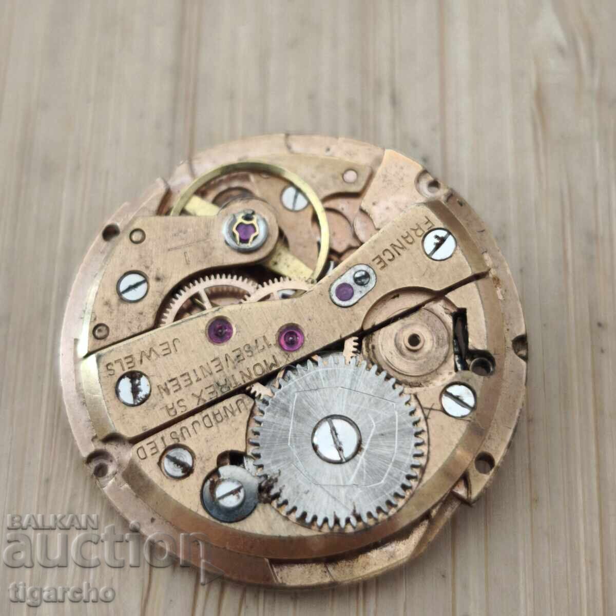 Licitație Mecanism pentru ceas de mână bărbătesc