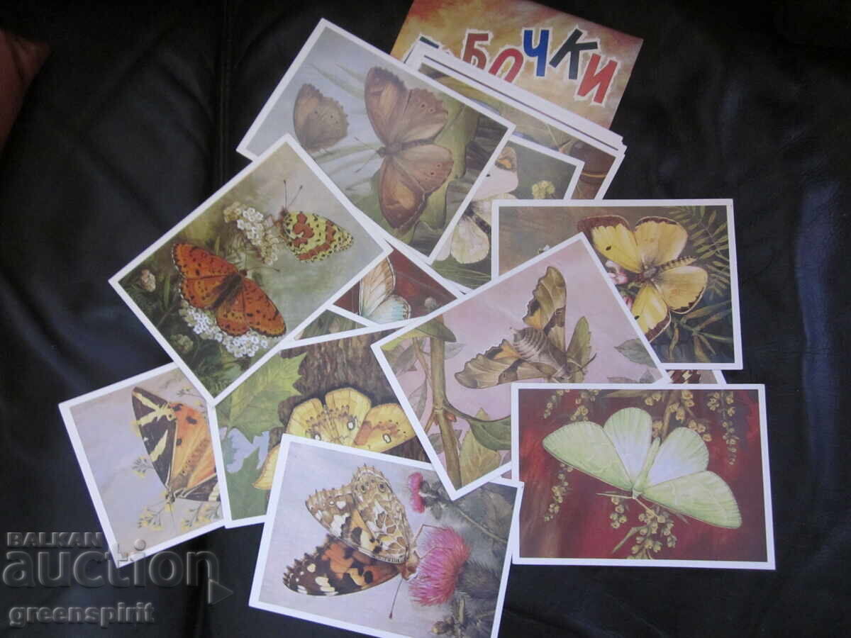 Licitație Albume cu cartonașe URSS Licitație Albume cu cartonașe URSS