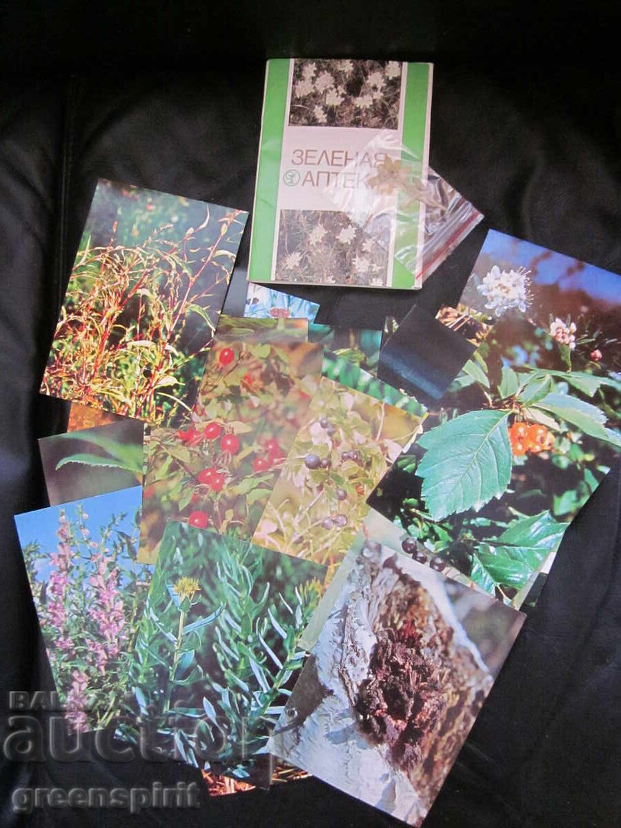 Livrarea Albume cu cartonașe URSS Livrarea Albume cu cartonașe URSS