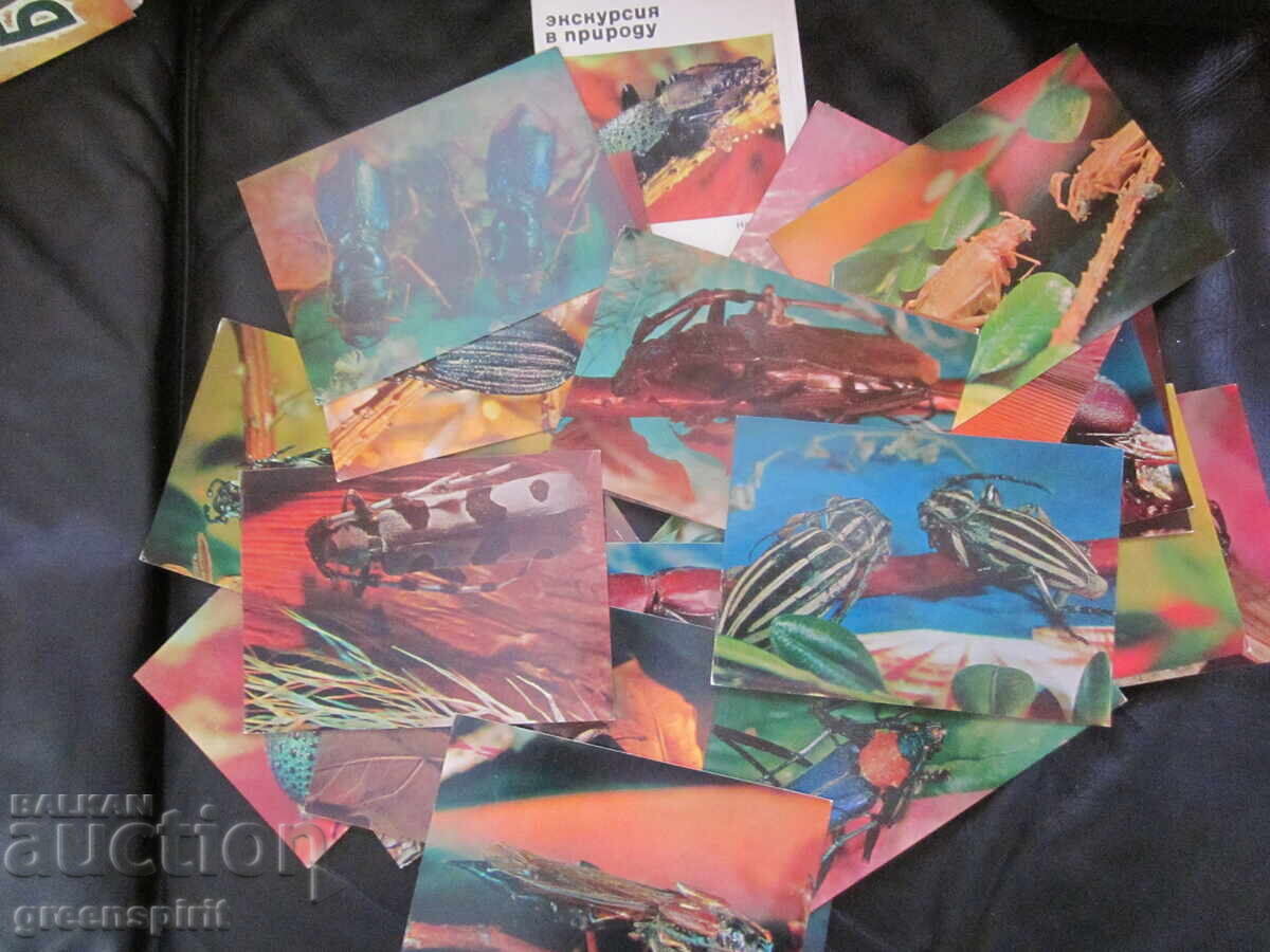 Albume cu cartonașe URSS - 6 Albume cu cartonașe URSS - 6