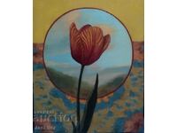 "Tulip" by Plamen Ovcharov