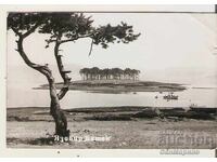 Картичка  България Язовир "Батак" 5*