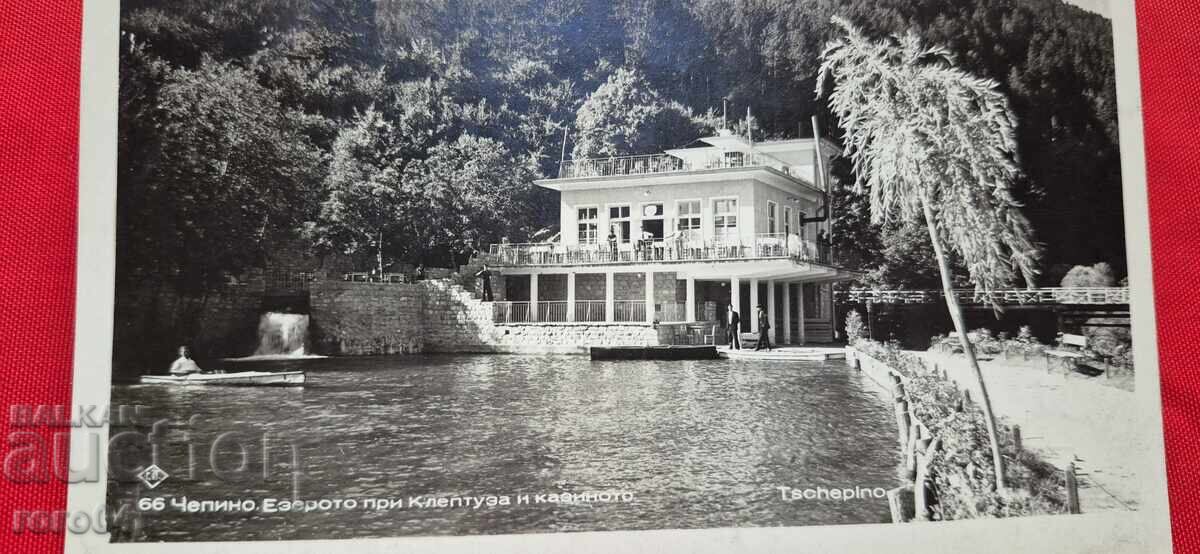 CHEPINO with price 17.99 BGN | € 9.20