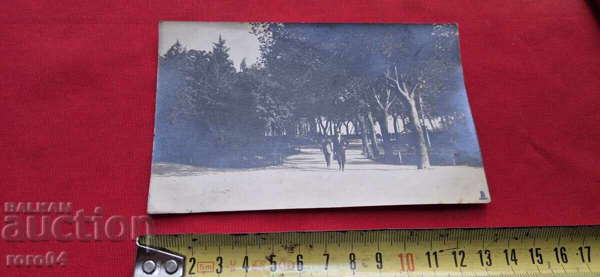 Auction VARNA Auction VARNA