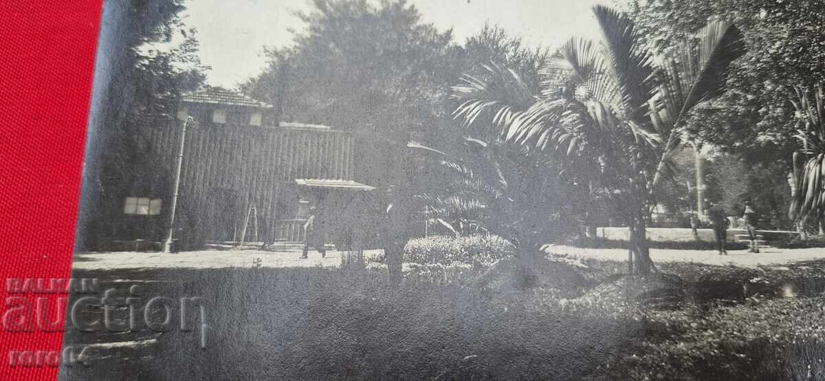 Auction VARNA Auction VARNA