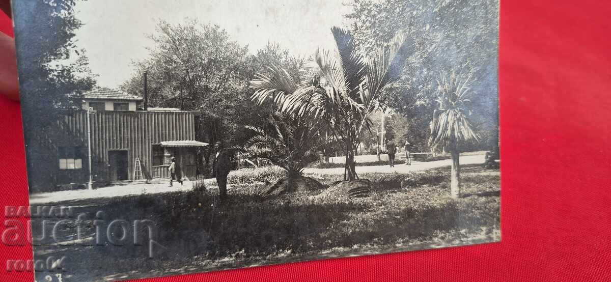 Auction VARNA Auction VARNA