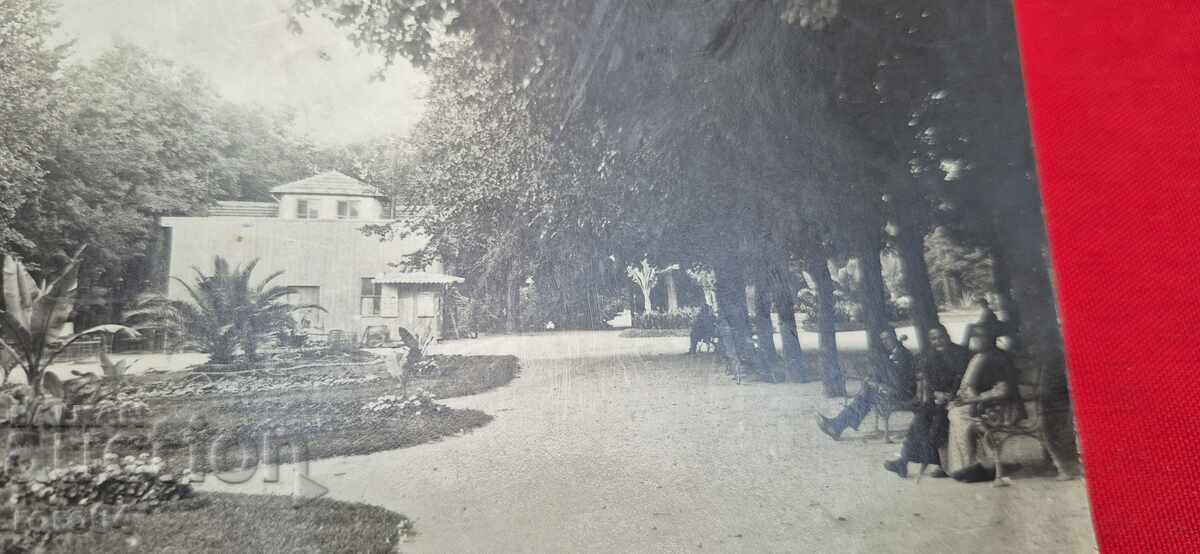 Auction VARNA Auction VARNA